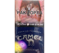 Camel Activate Dual