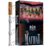 Магнат